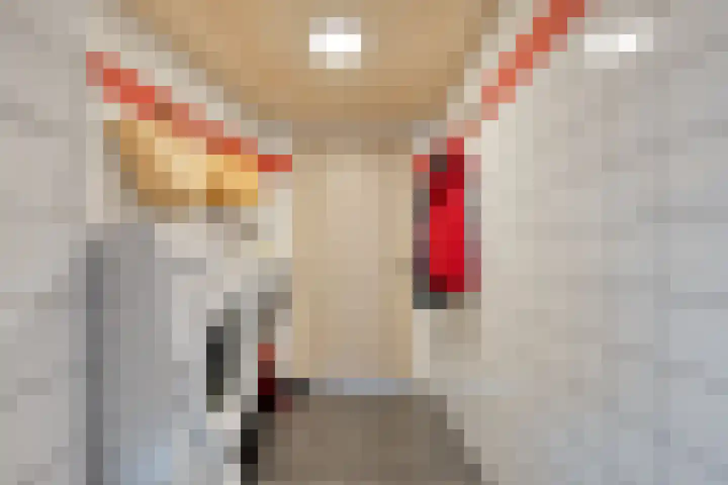 Oude Verlaat 4 Blokzijl thumbnail 34