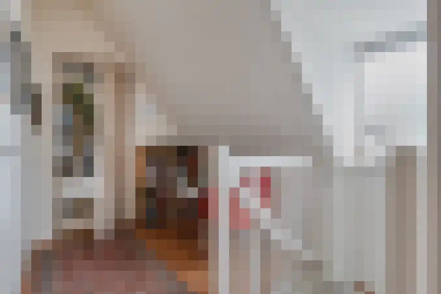 Oude Verlaat 4 Blokzijl thumbnail 35