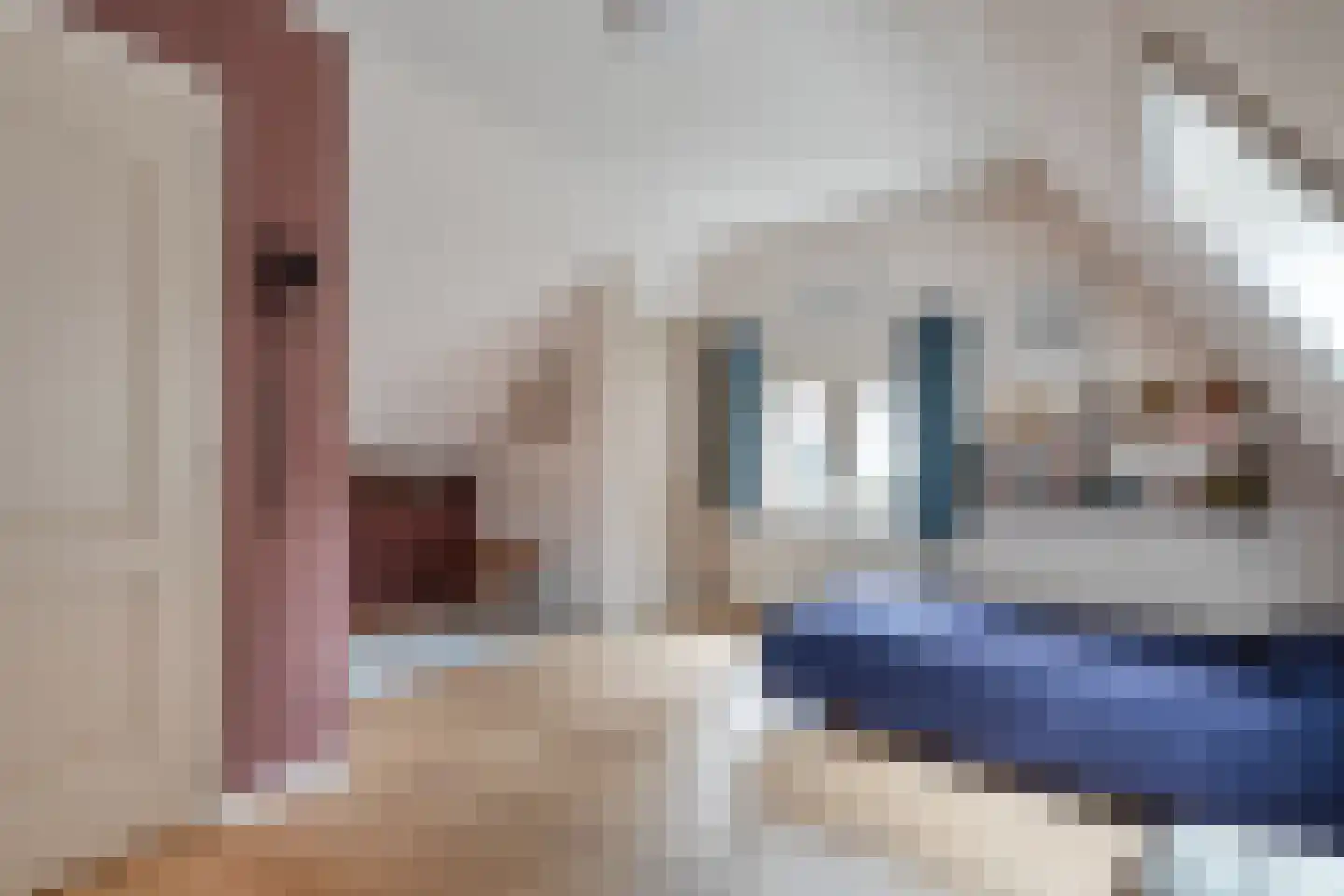 Oude Verlaat 4 Blokzijl thumbnail 38