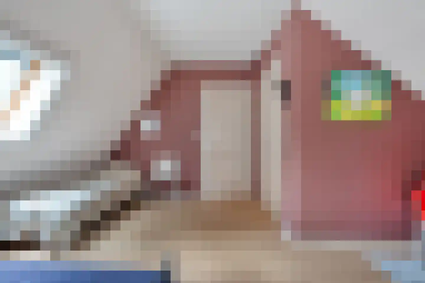 Oude Verlaat 4 Blokzijl thumbnail 40