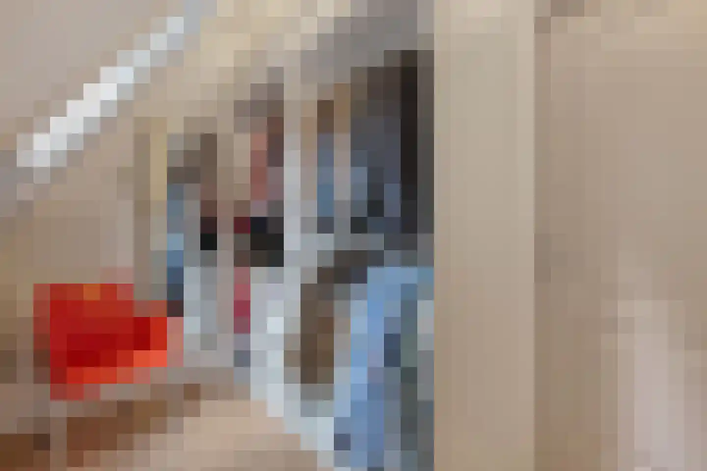 Oude Verlaat 4 Blokzijl thumbnail 42