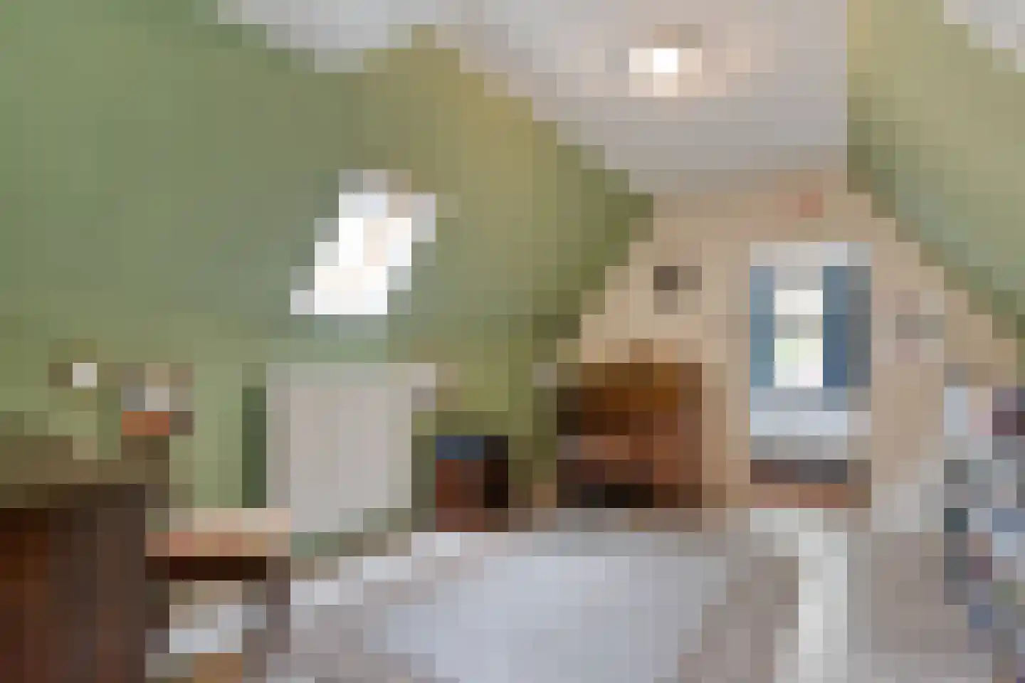 Oude Verlaat 4 Blokzijl thumbnail 44