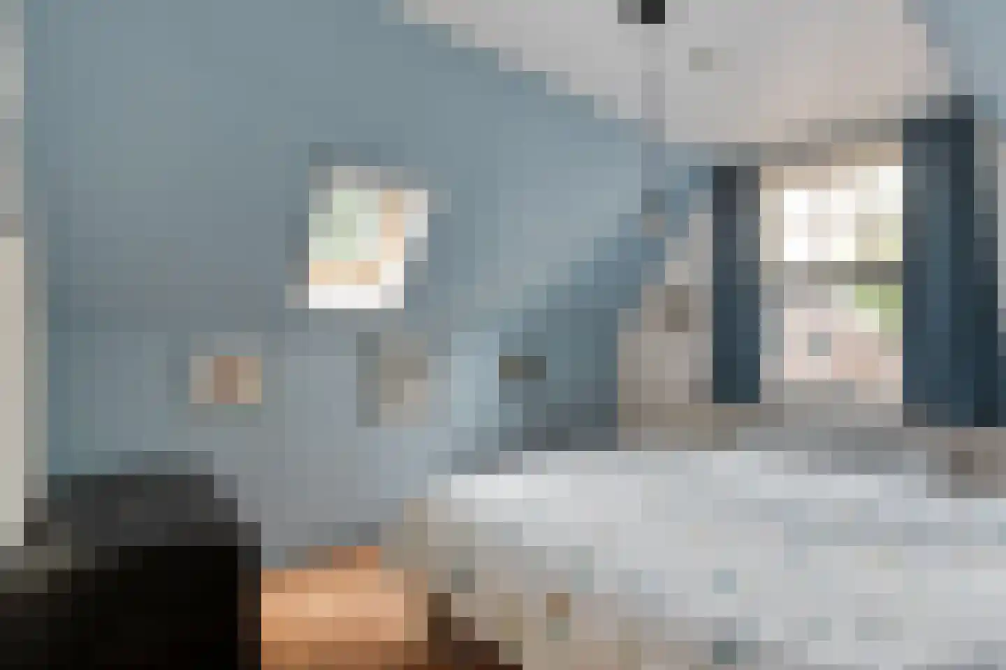 Oude Verlaat 4 Blokzijl thumbnail 46