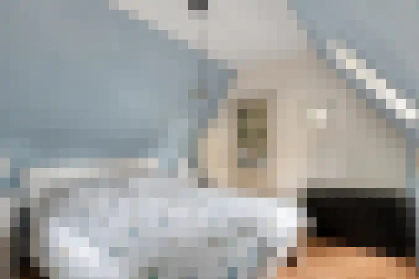 Oude Verlaat 4 Blokzijl thumbnail 47