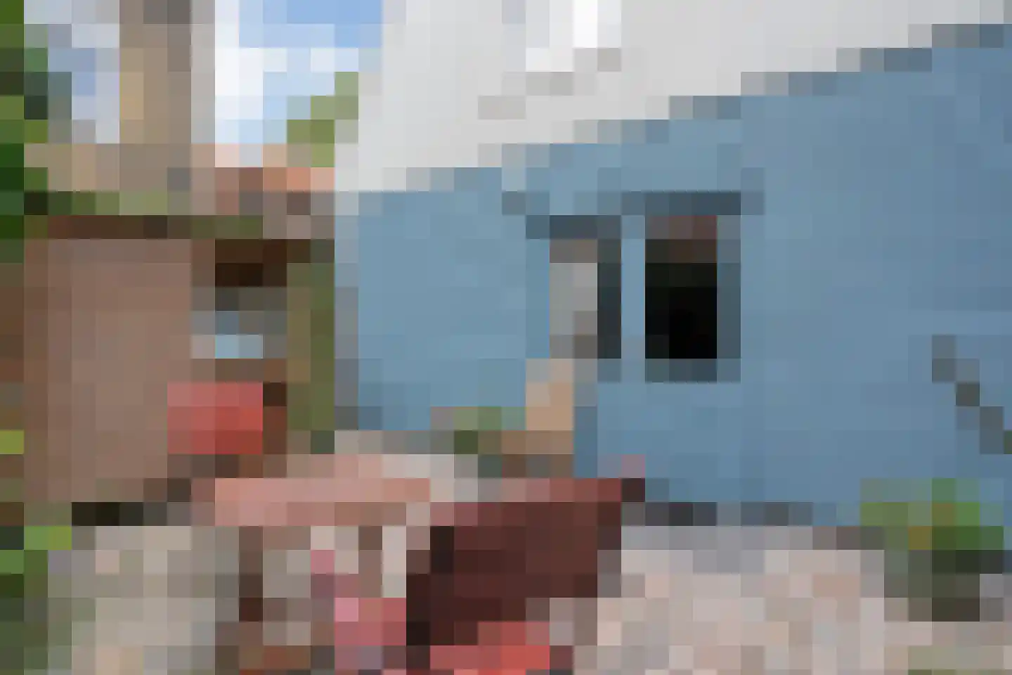Oude Verlaat 4 Blokzijl thumbnail 48