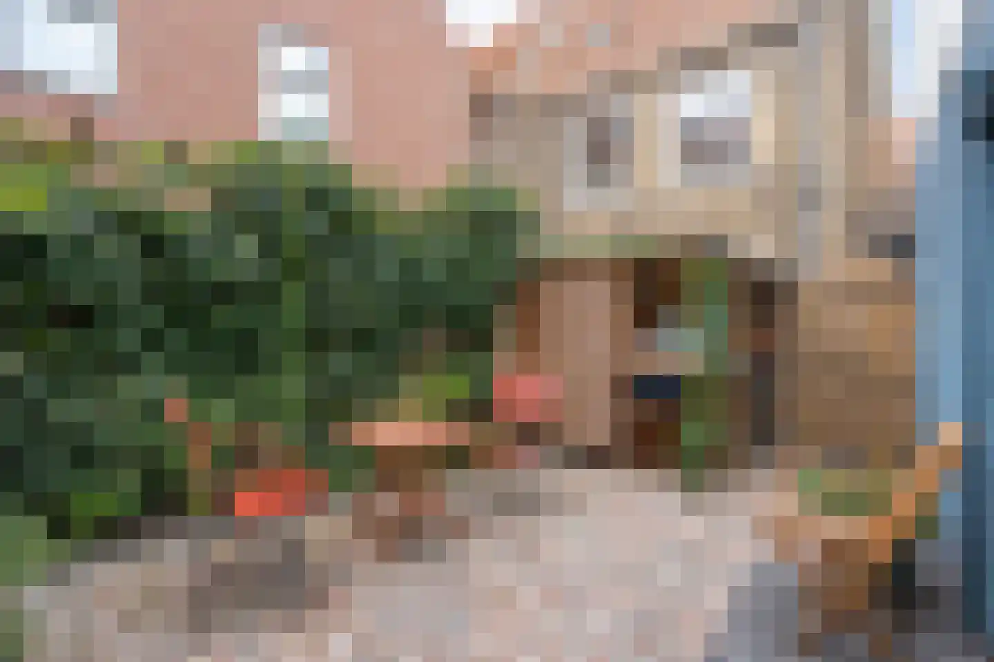 Oude Verlaat 4 Blokzijl thumbnail 49