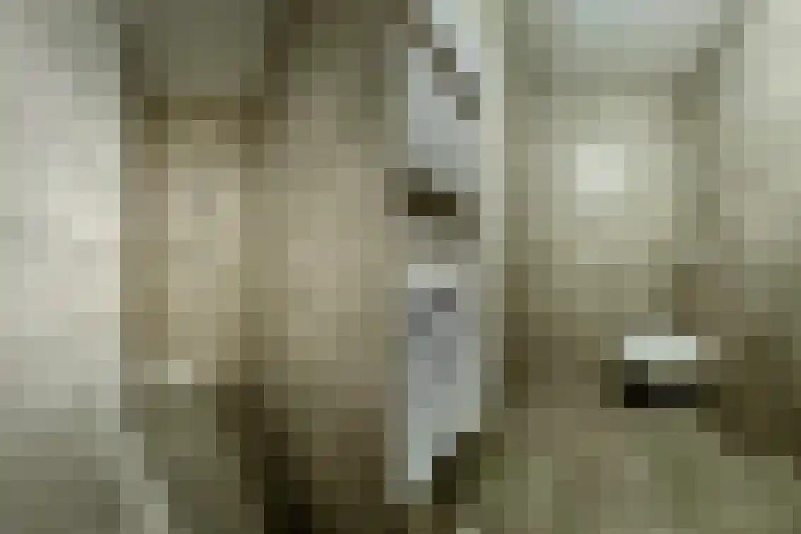 Oude Vest 10 Breda thumbnail 6