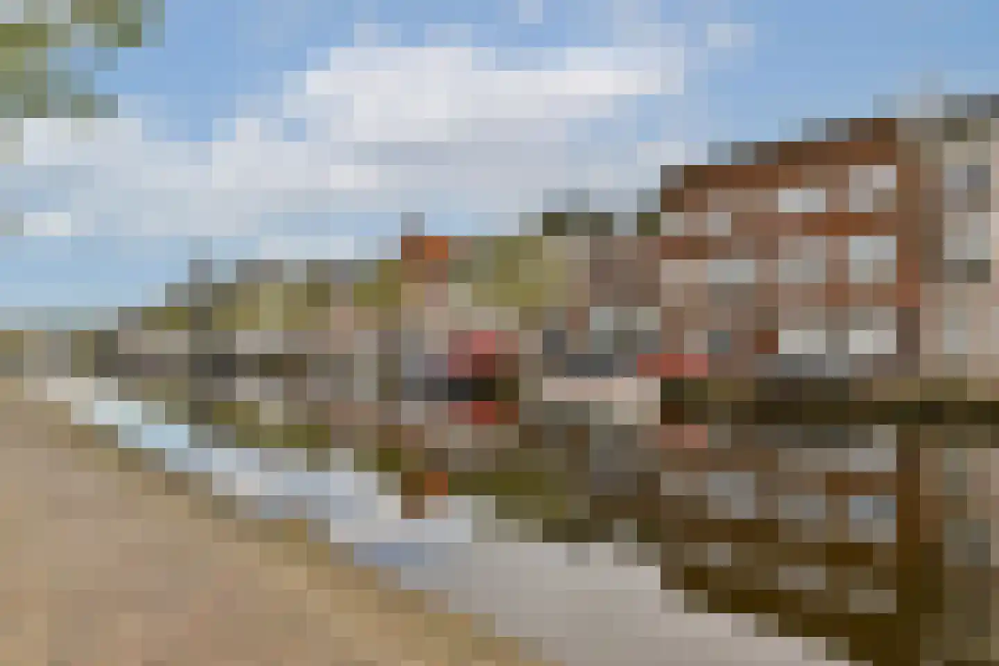 Oude Vest 11 F Leiden thumbnail 5