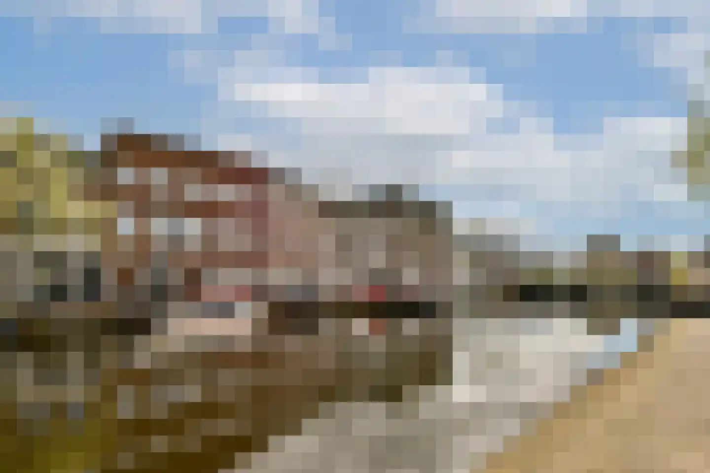 Oude Vest 11 F Leiden thumbnail 6