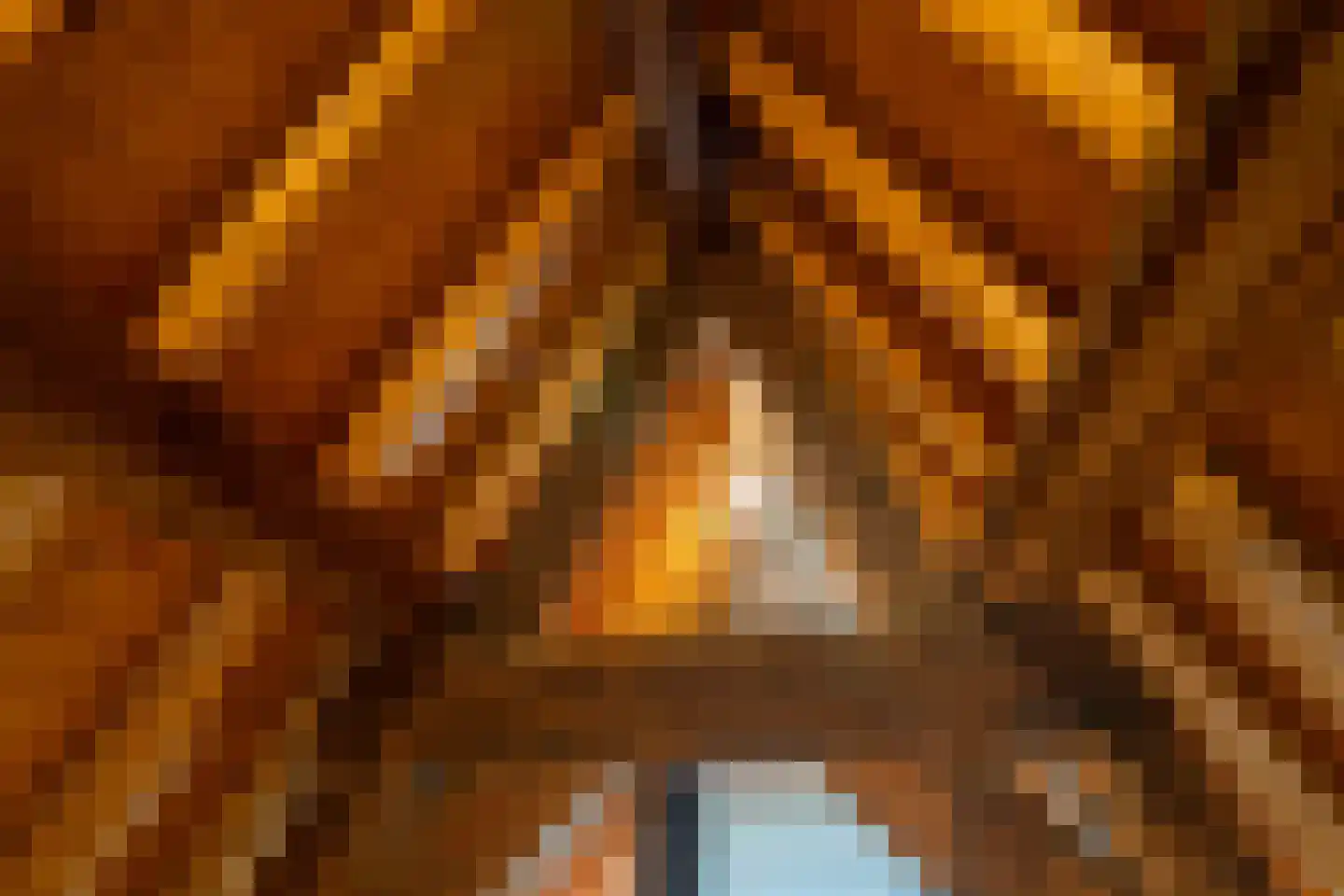Oude Vest 209 A Leiden thumbnail 30