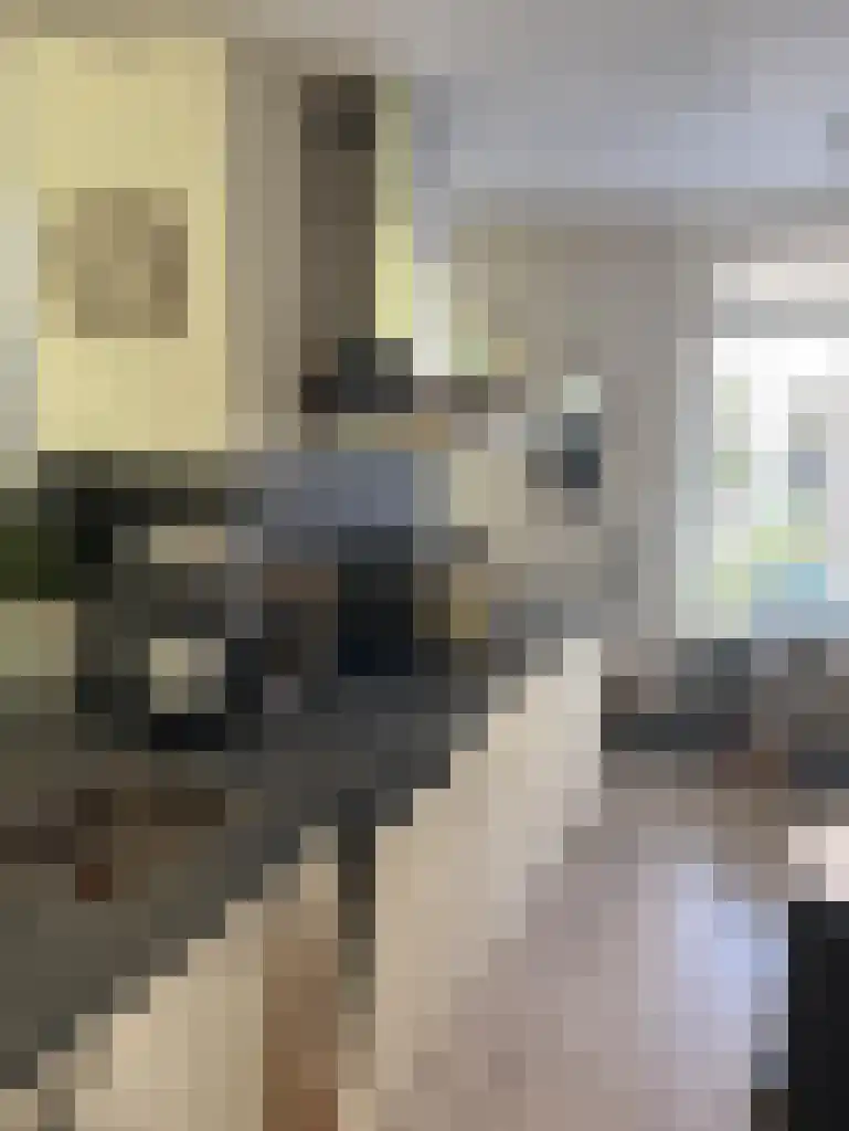 Oude Vest 21 Leiden thumbnail 4