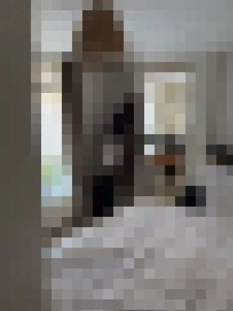 Oude Vest 21 Leiden thumbnail 6