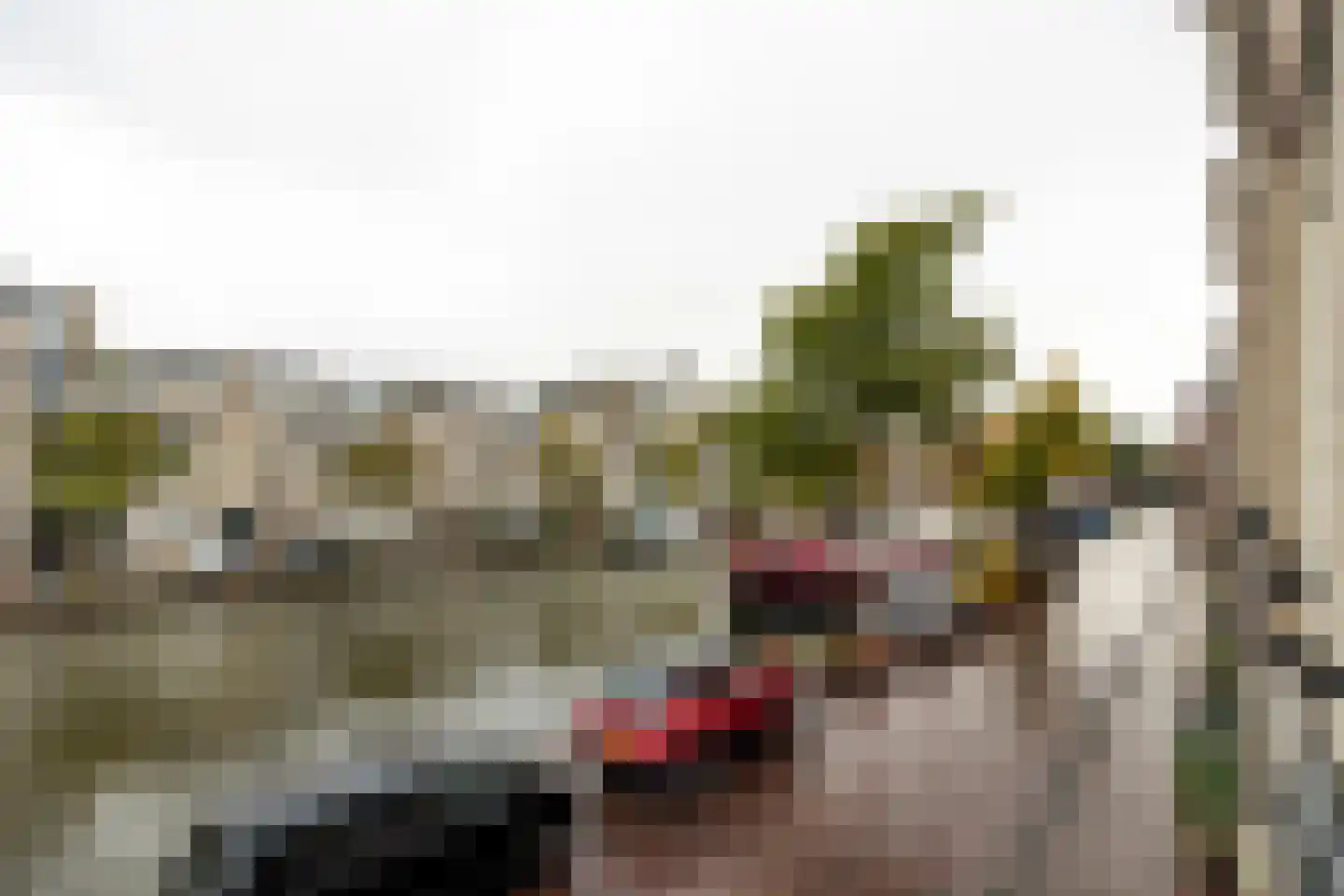 Oude Vest 227 B Leiden thumbnail 7