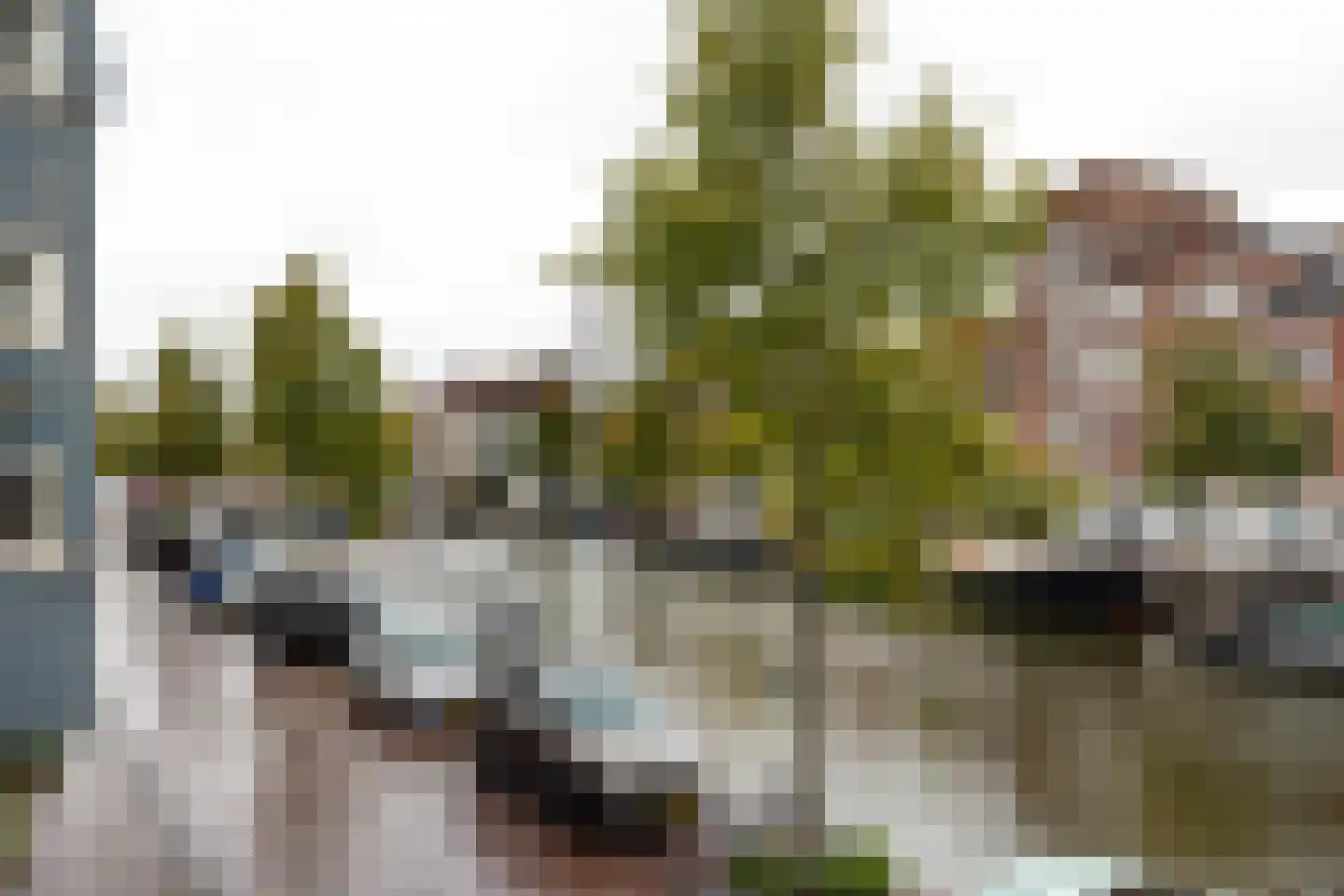 Oude Vest 227 B Leiden thumbnail 8