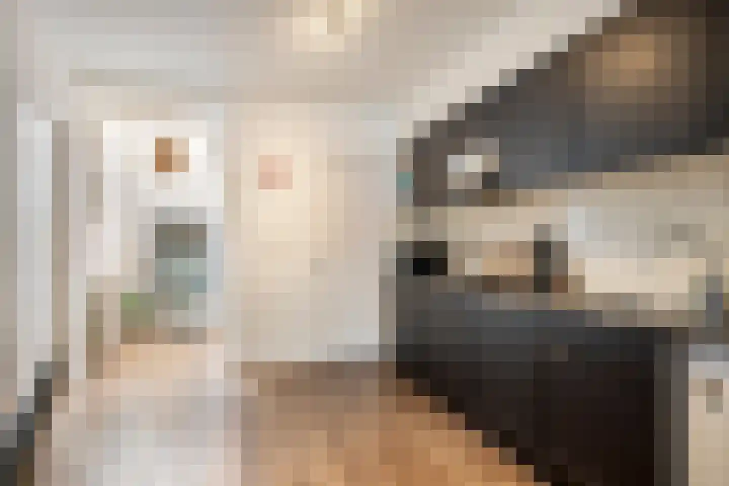 Oude Vest 235 Leiden thumbnail 9