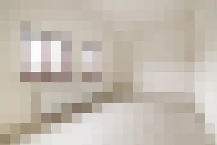 Oude Vest 24 Breda thumbnail 33