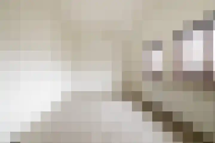 Oude Vest 24 Breda thumbnail 34