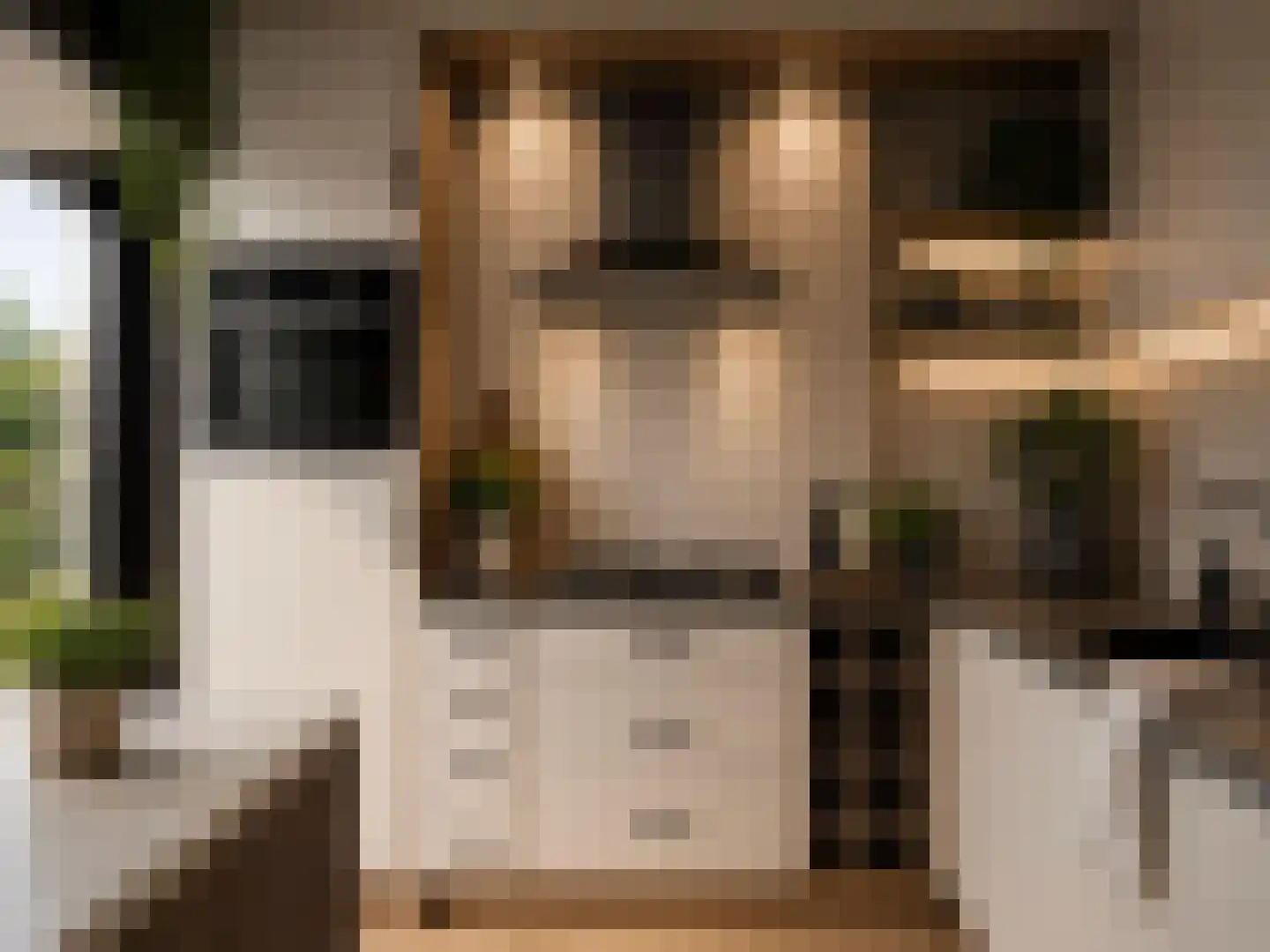 Oude Vest 28 A Breda thumbnail 14