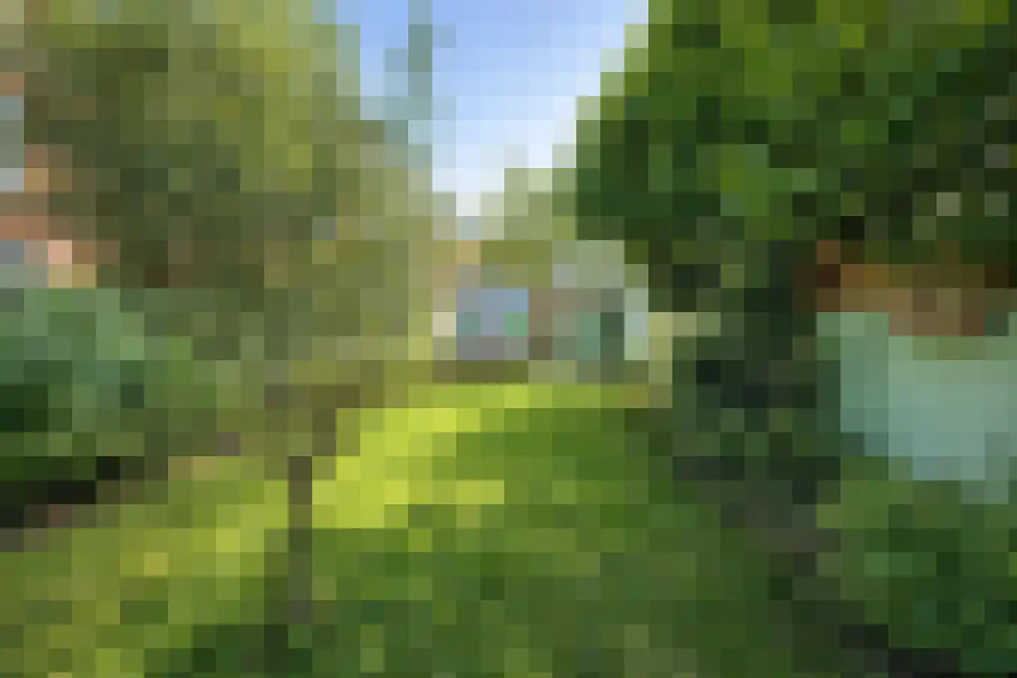 Oude Vest 28 Breda thumbnail 16