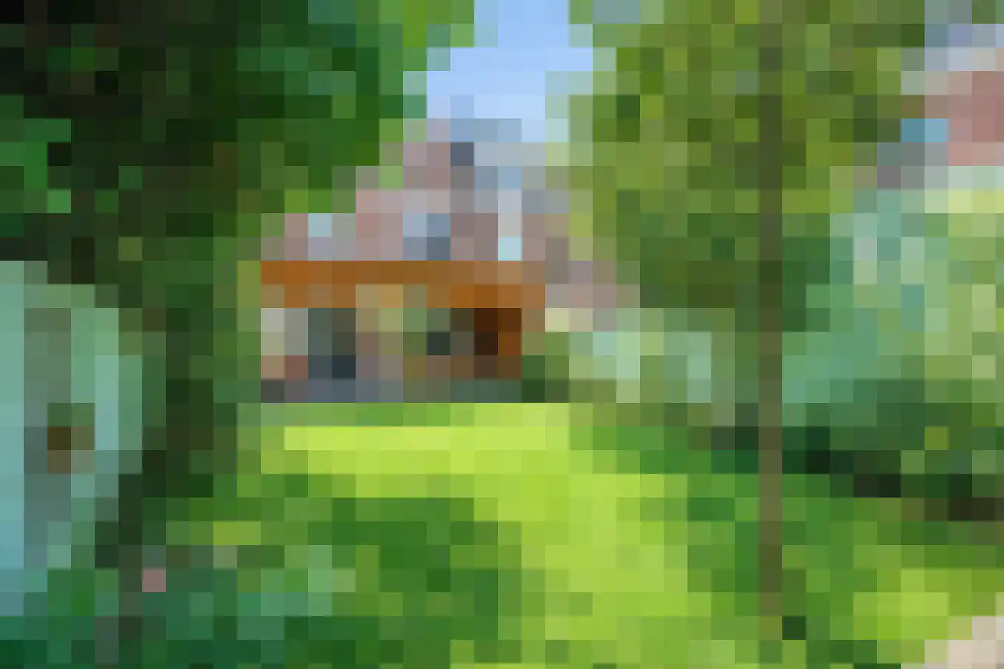 Oude Vest 28 Breda thumbnail 17
