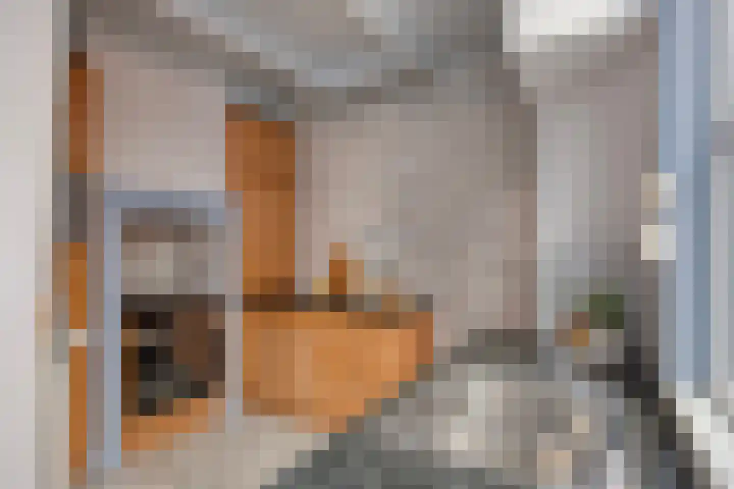 Oude Vest 53 Leiden thumbnail 12