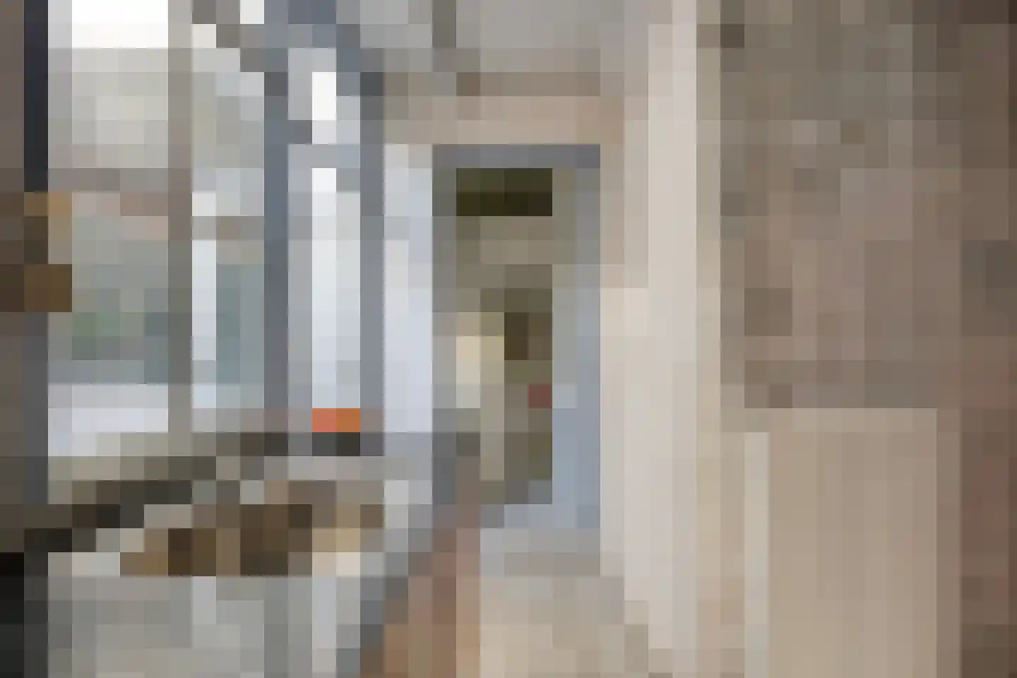 Oude Vest 53 Leiden thumbnail 17