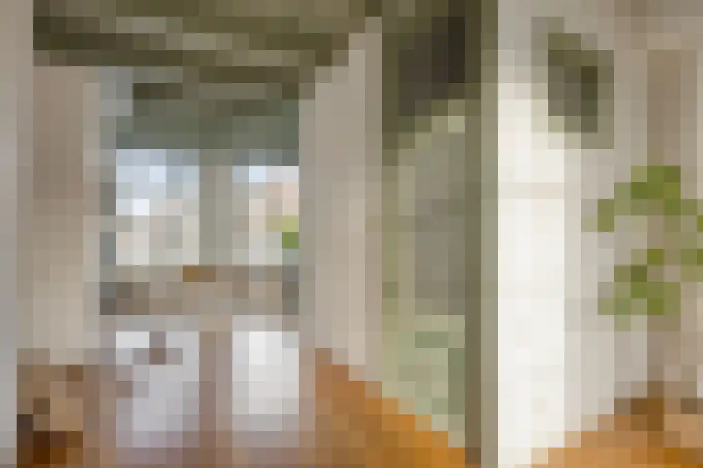 Oude Vest 53 Leiden thumbnail 21