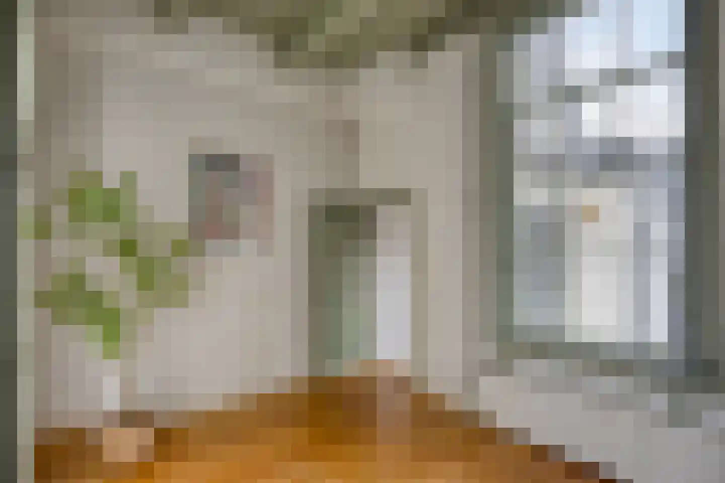 Oude Vest 53 Leiden thumbnail 27
