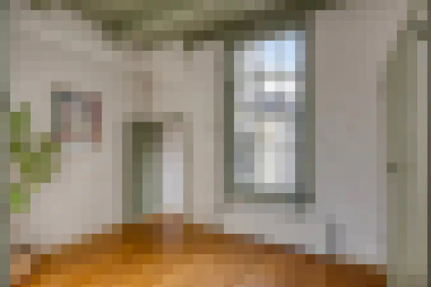 Oude Vest 53 Leiden thumbnail 28