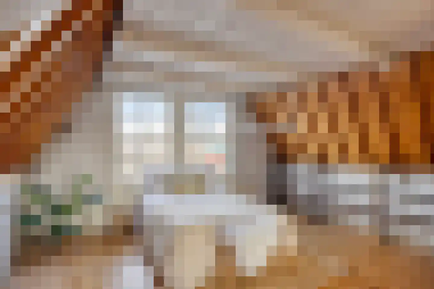 Oude Vest 53 Leiden thumbnail 38