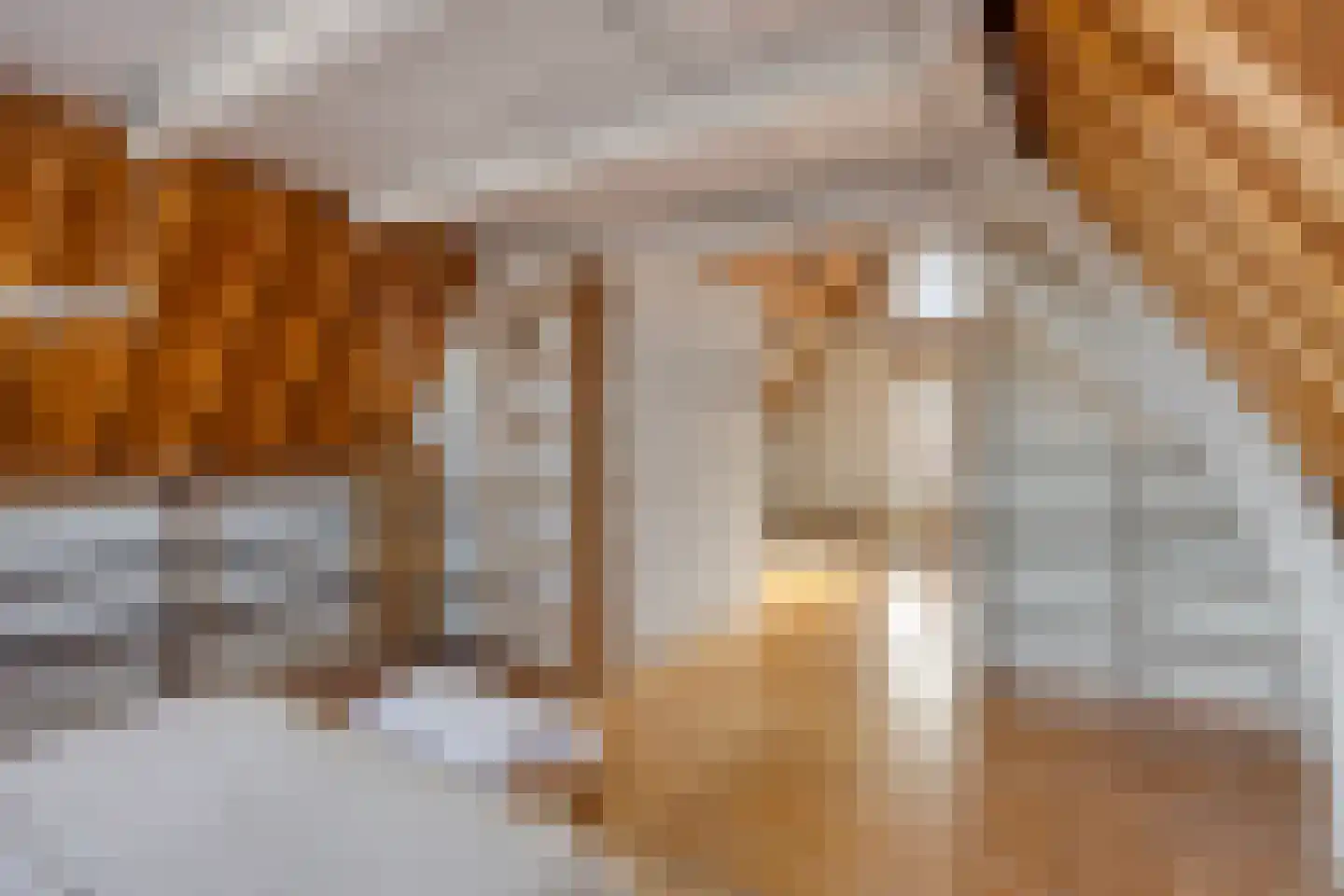 Oude Vest 53 Leiden thumbnail 39