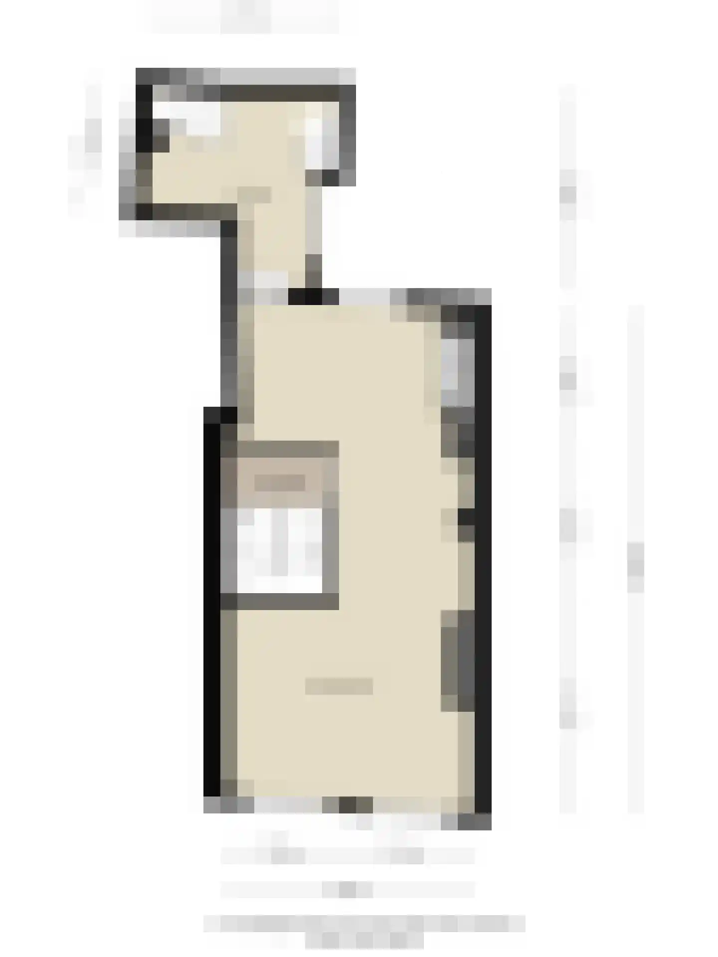 Oude Vest 53 Leiden thumbnail 60