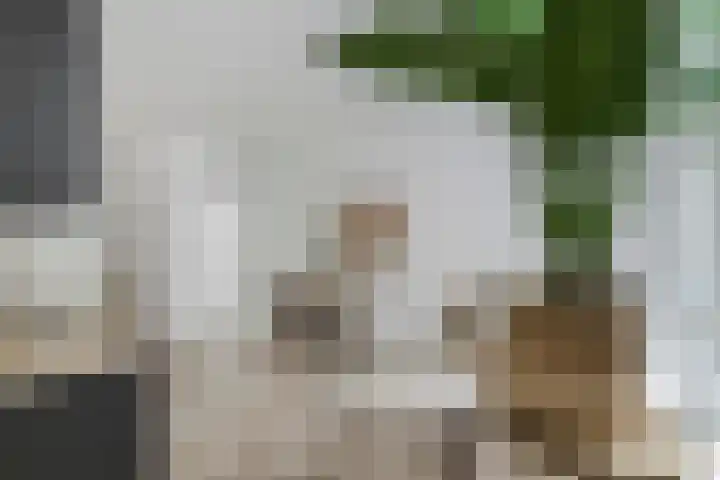 Oude Vest 57 Leiden thumbnail 7