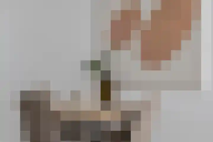 Oude Vest 57 Leiden thumbnail 9