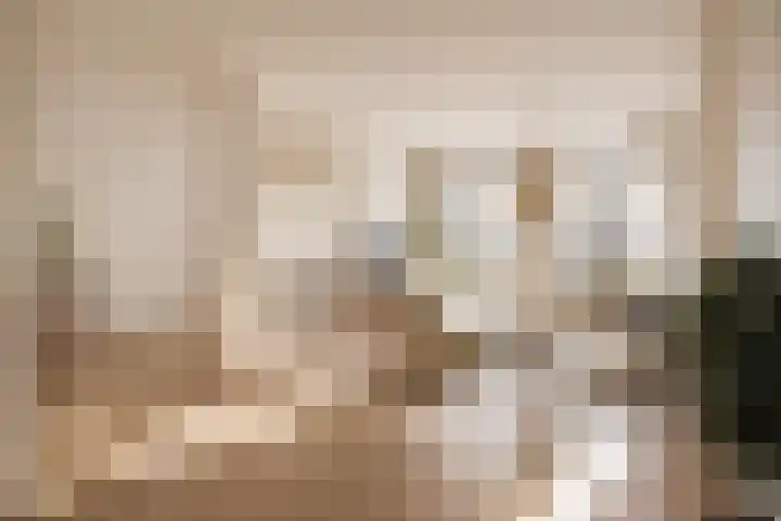 Oude Vest 6 B5 Breda thumbnail 12