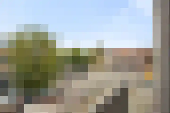 Oude Vest 6 B5 Breda thumbnail 16