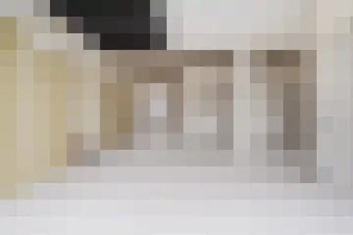 Oude Vest 6 B5 Breda thumbnail 21