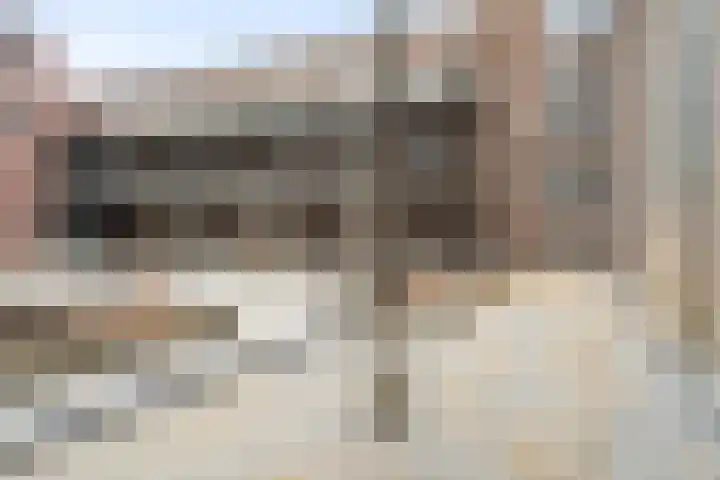 Oude Vest 6 B5 Breda thumbnail 29