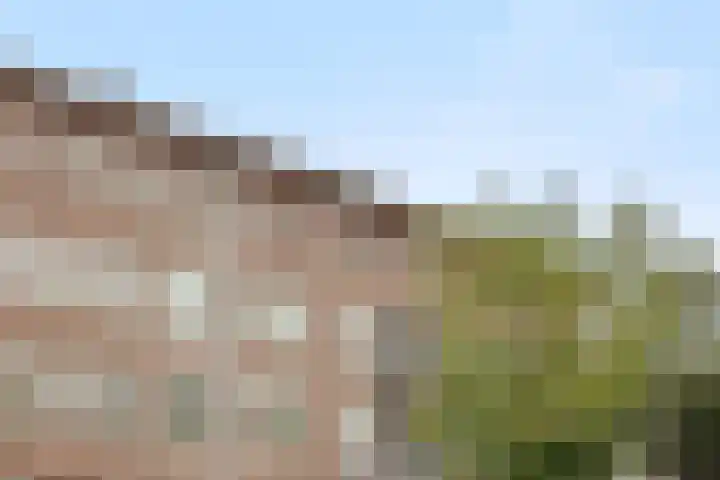 Oude Vest 6 B5 Breda thumbnail 5