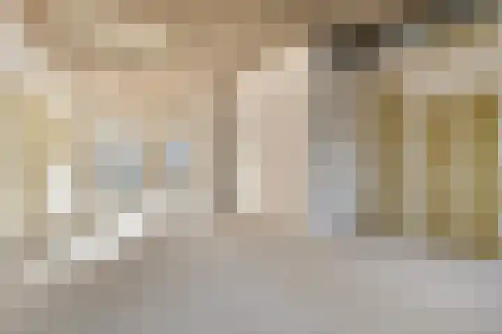 Oude Vest 6 D3 Breda thumbnail 14