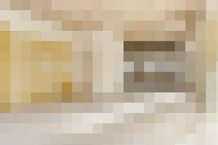 Oude Vest 6 D3 Breda thumbnail 16