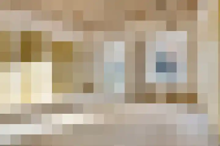 Oude Vest 6 D3 Breda thumbnail 18