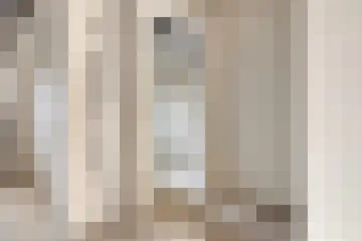 Oude Vest 6 D3 Breda thumbnail 22