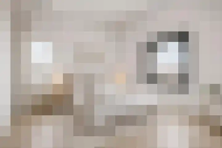 Oude Vest 6 D3 Breda thumbnail 29
