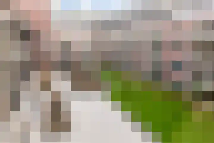 Oude Vest 6 D3 Breda thumbnail 32