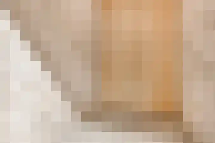 Oude Vest 6 D3 Breda thumbnail 34