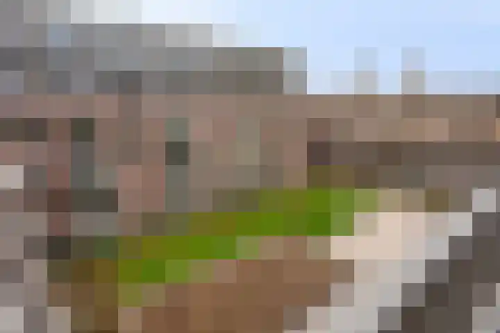 Oude Vest 6 D3 Breda thumbnail 37