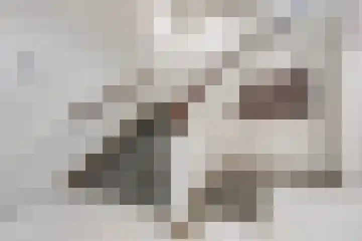 Oude Vest 6 D3 Breda thumbnail 7