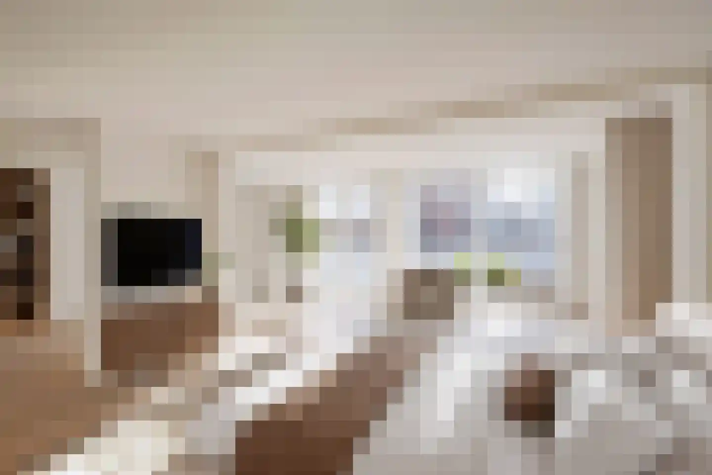 Oude Vest 6 D4 Breda thumbnail 5