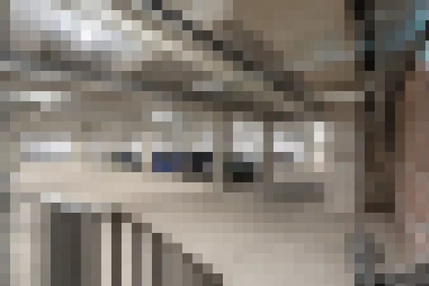 Oude Vest 6 D4 Breda thumbnail 59